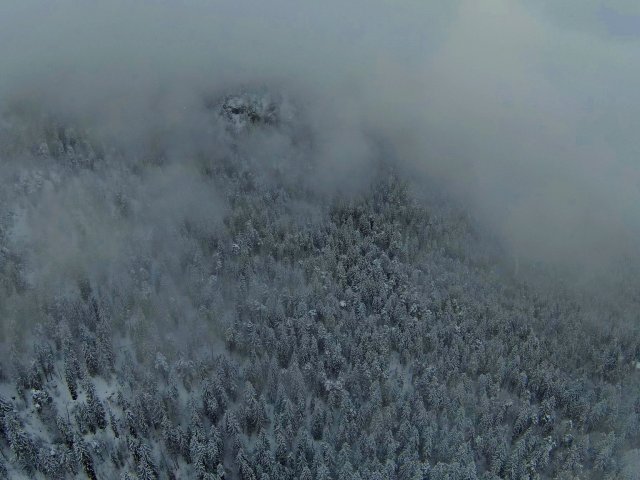 Frühwinterlich ab nächster Woche!