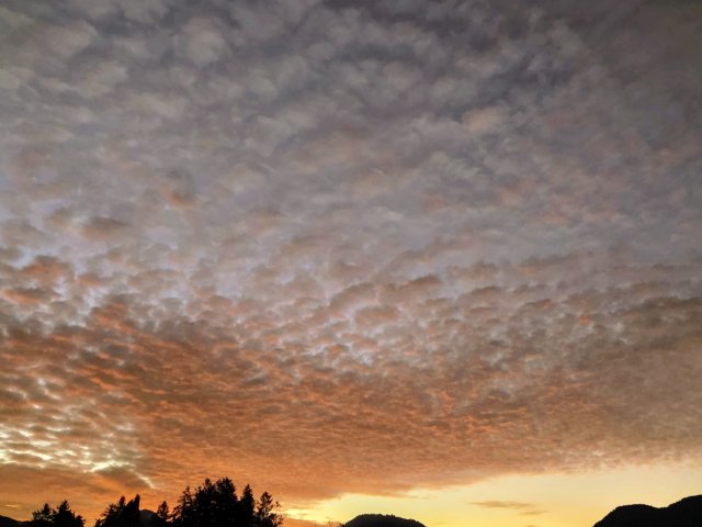 Föhn im Norden , Südstau im Süden!