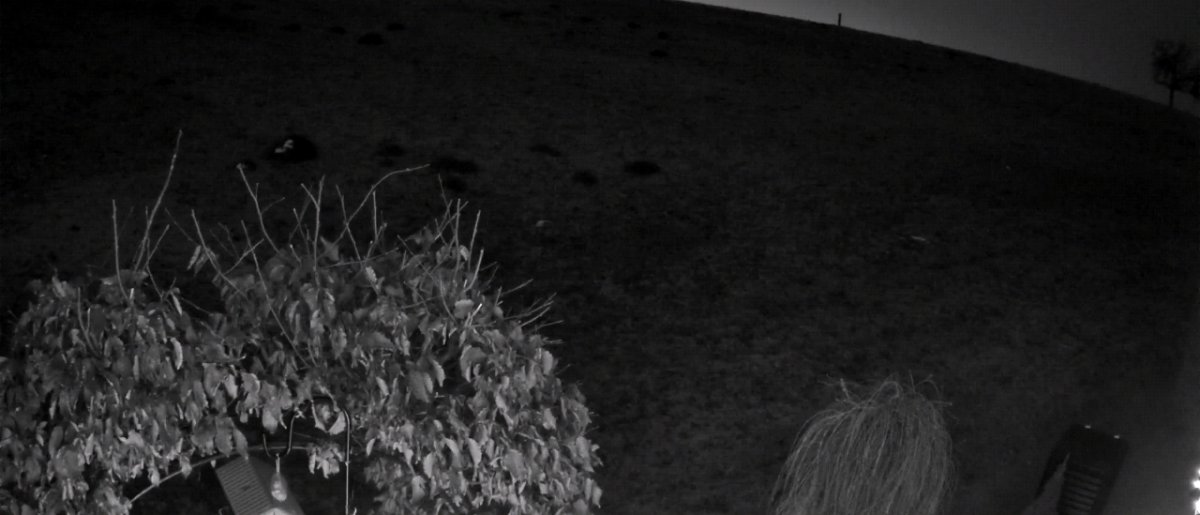 Nebelaufzug bei uns am Angerberg im Tiroler Unterland+Aussichten! 🌫