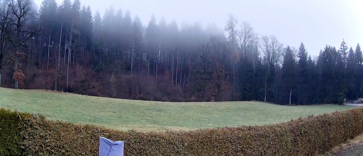 Erst Sonne und mild, dann zartes Fröntchen aus Nordwesten am Donnerstag!