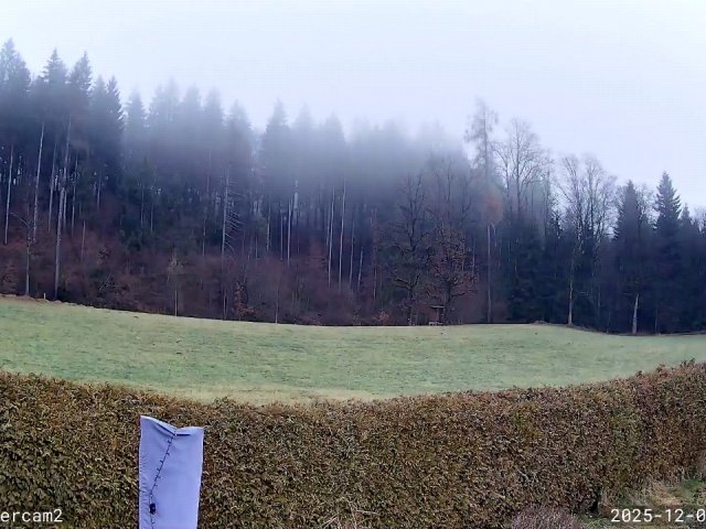 Erst Sonne und mild, dann zartes Fröntchen aus Nordwesten am Donnerstag!