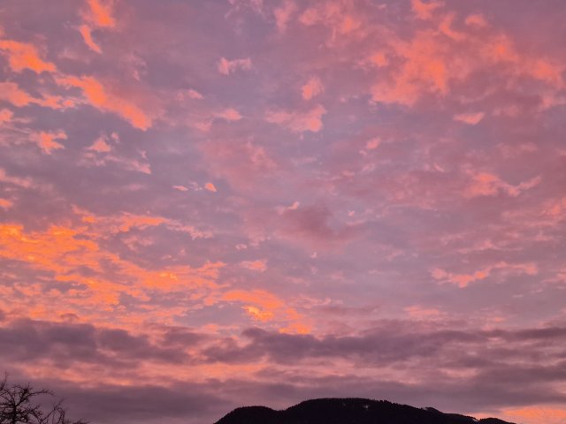 Weihnachten rückt näher, wird es winterlich oder wird’s mild?