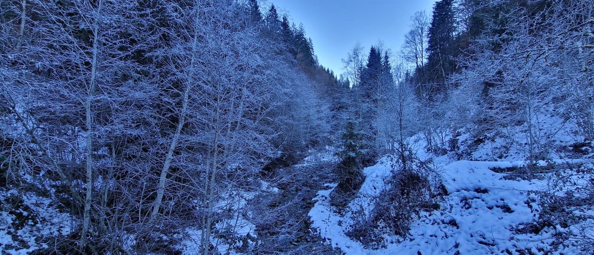 Wetter bis Heiligabend: Erst ruhig, dann wieder spannend?