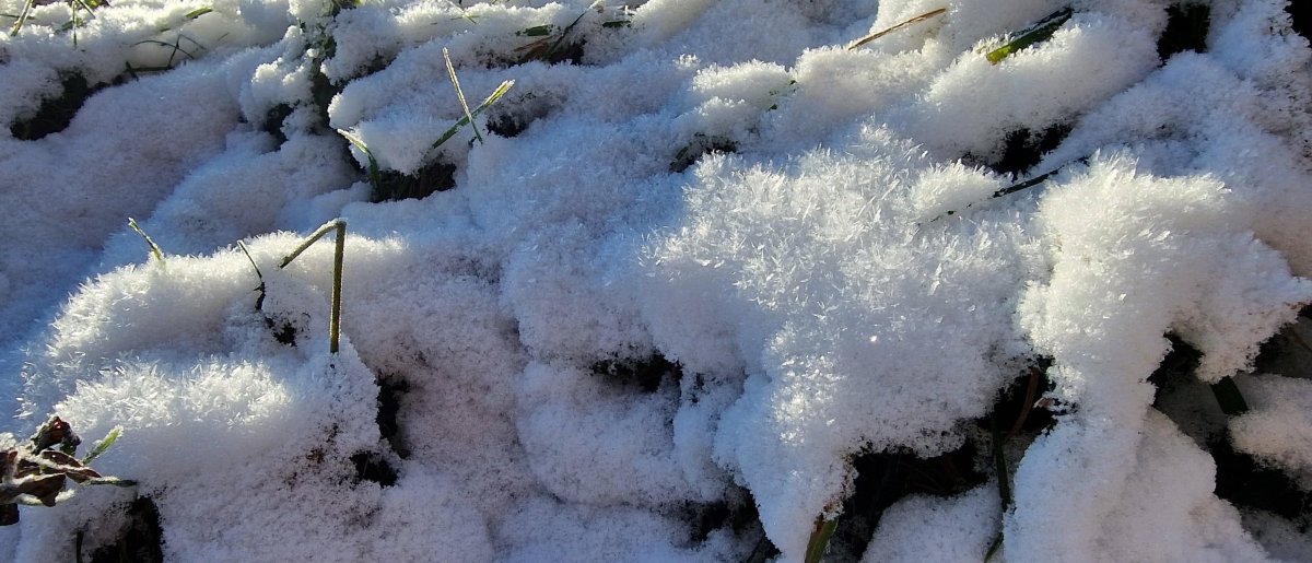 Das neue Winterdienst-Update ist da, jetzt noch übersichtlicher und präziser! ❄️