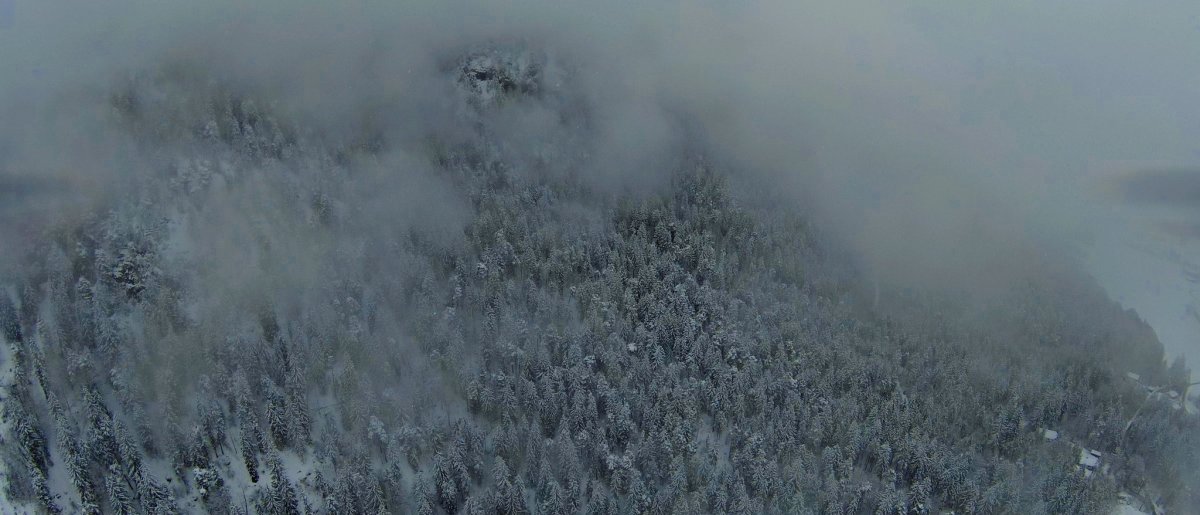 Frühwinterlich ab nächster Woche!