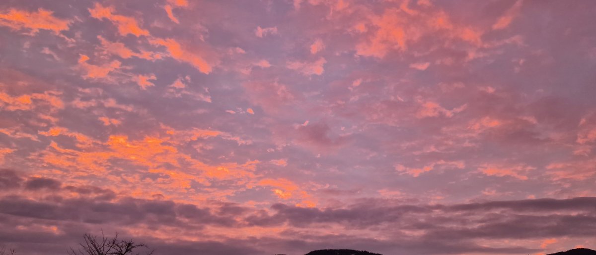 Weihnachten rückt näher, wird es winterlich oder wird’s mild?