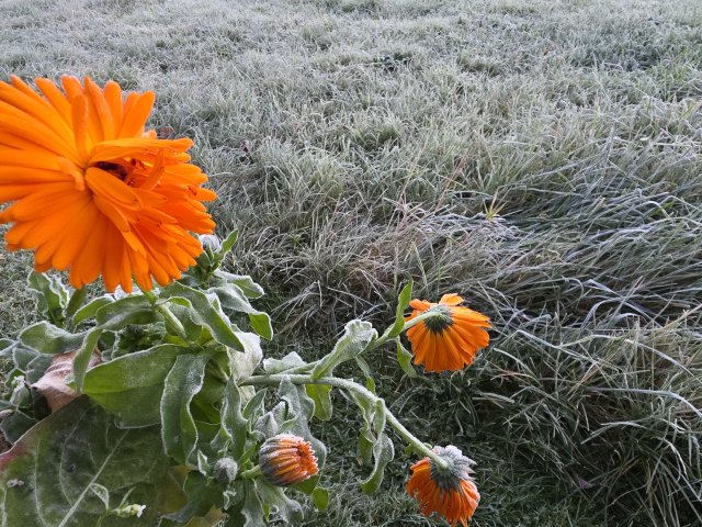 Wetterumstellung in Sicht!